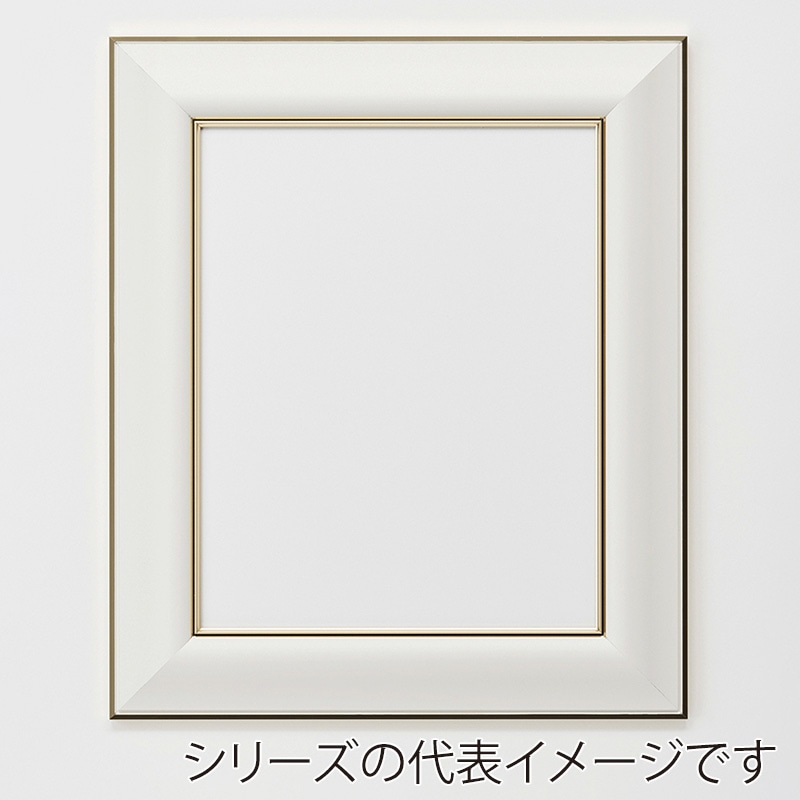 アルナ デッサン額 HVL B-3 515×364mm ネオホワイトフレーム 1個(ご注文単位1個)【直送品】