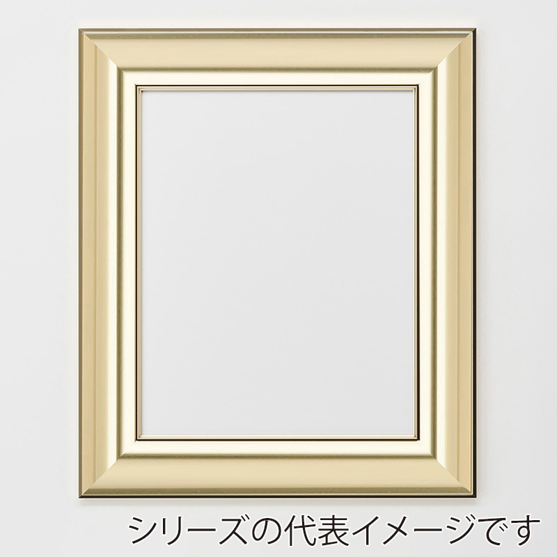 アルナ デッサン額 HVL 半切 545×424mm ゴールドフレーム 1個(ご注文単位1個)【直送品】