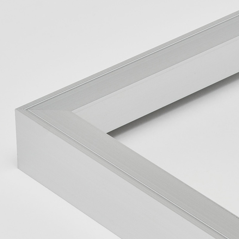 アルナ デッサン額　FW 200角 シルバーフレーム 1個（ご注文単位1個）【直送品】