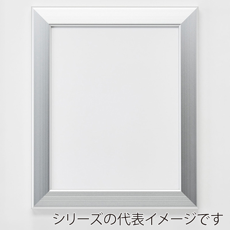 アルナ デッサン額 CF 全紙 727×545mm シルバーフレーム 1個(ご注文単位1個)【直送品】