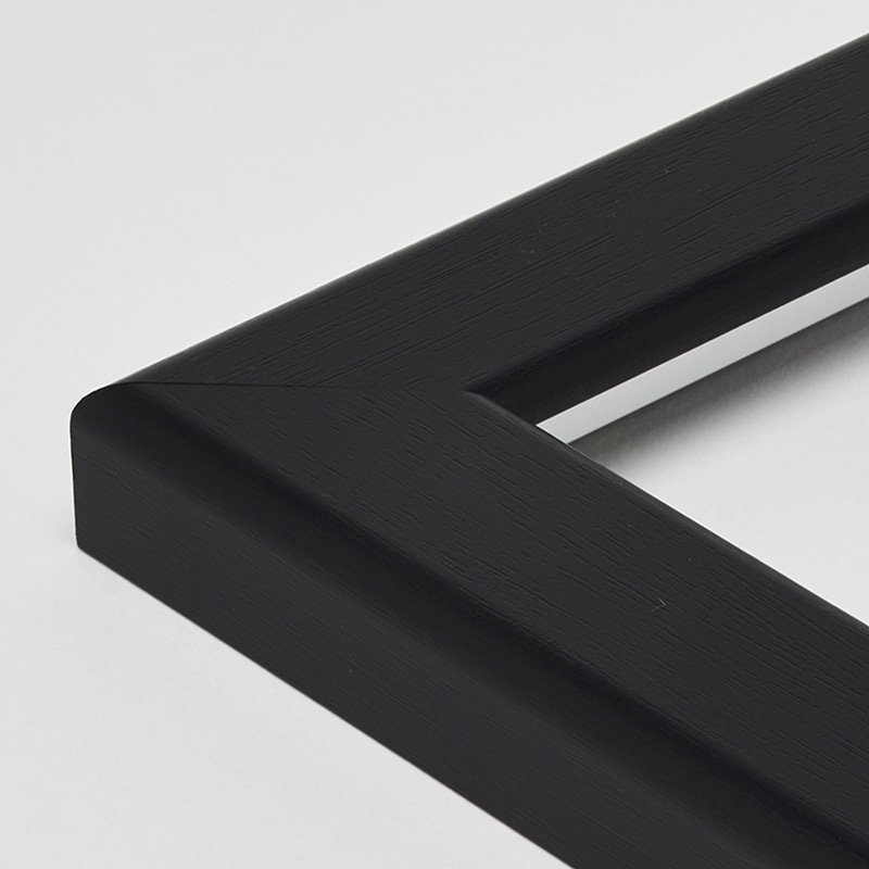 アルナ デッサン額 CF A-4 297×210mm ビターフレーム 1個(ご注文単位1個)【直送品】