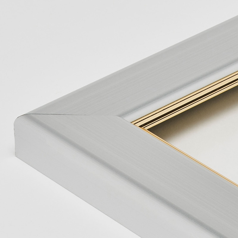 アルナ デッサン額 CF 面金付き B-1 1030×728mm シルバーフレーム 1個(ご注文単位1個)【直送品】