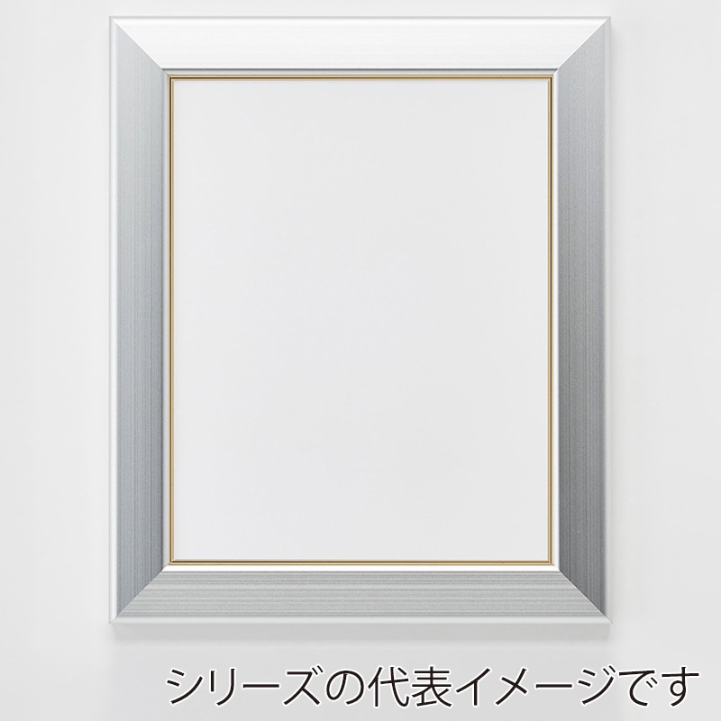 アルナ デッサン額　CF　面金付き B-4　364×257mm シルバーフレーム 1個（ご注文単位1個）【直送品】