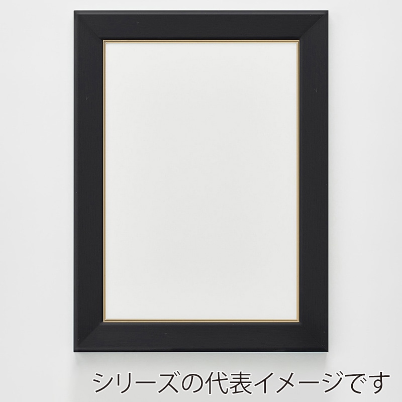 アルナ デッサン額　CF　面金付き A-0　1189×841mm ビターフレーム 1個（ご注文単位1個）【直送品】