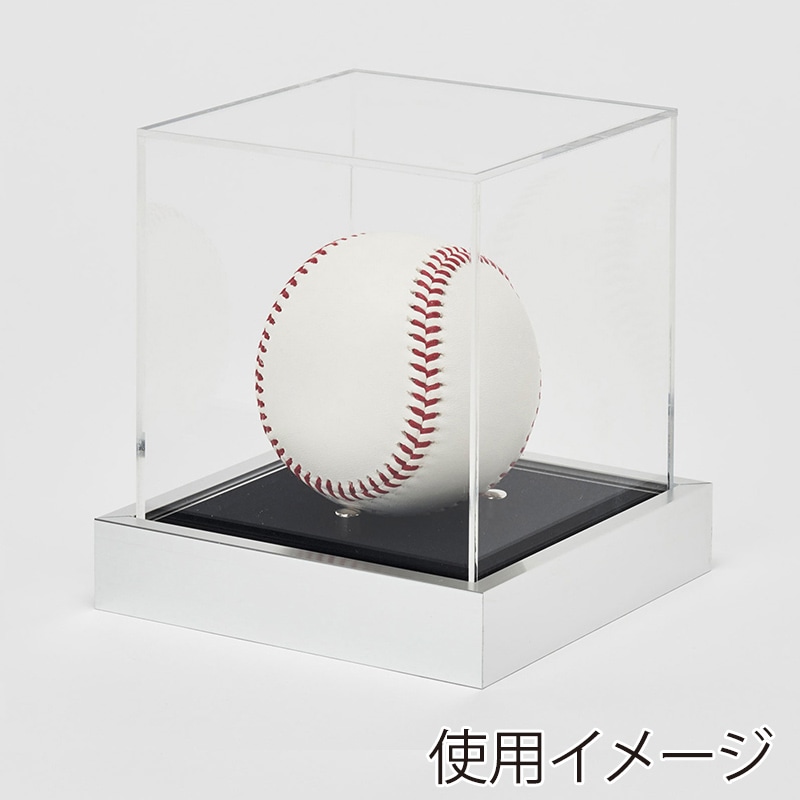 アルナ ボールケース　Sサイズ　T25 通常アクリル シルバーフレーム／黒別珍 1個（ご注文単位1個）【直送品】