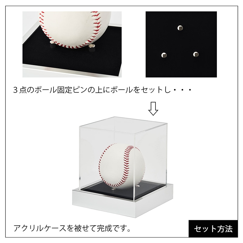 アルナ ボールケース Sサイズ T25 通常アクリル シルバーフレーム/黒別珍 1個(ご注文単位1個)【直送品】