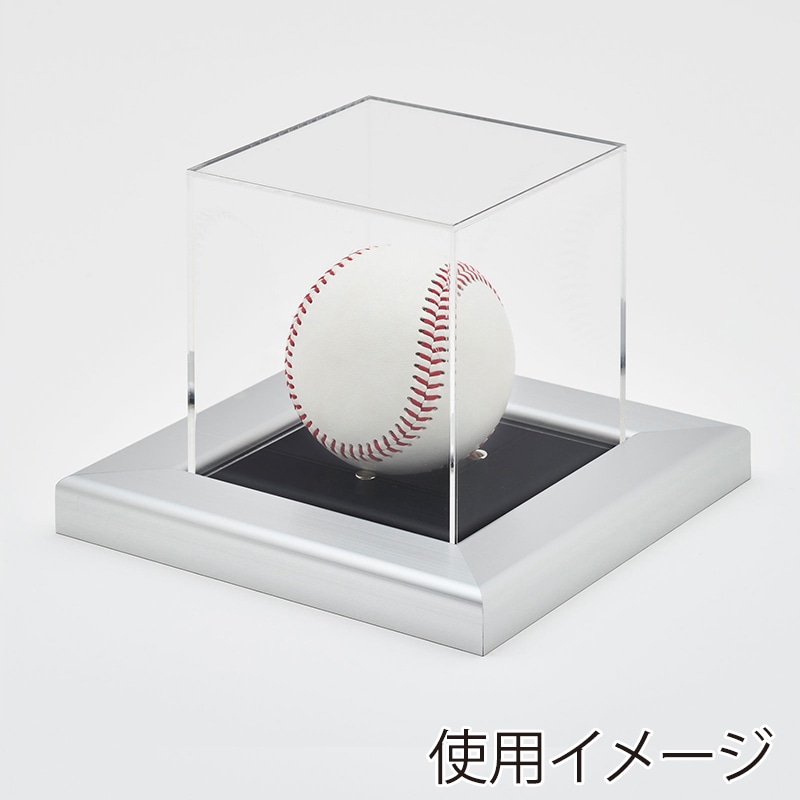 アルナ ボールケース　Sサイズ　CF 通常アクリル シルバーフレーム／黒別珍 1個（ご注文単位1個）【直送品】