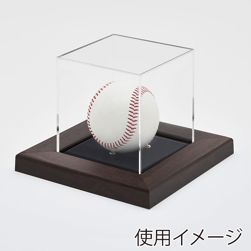 アルナ ボールケース　Sサイズ　CF 通常アクリル オークフレーム／黒別珍 1個（ご注文単位1個）【直送品】