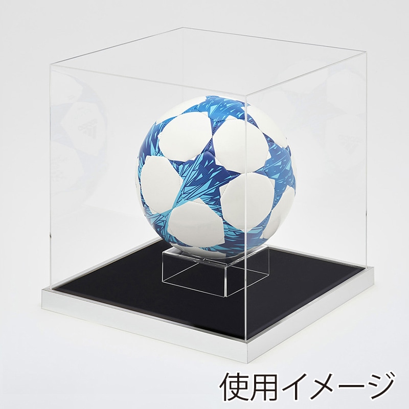 アルナ ボールケース　Mサイズ　T25 通常アクリル シルバーフレーム／黒別珍 1個（ご注文単位1個）【直送品】