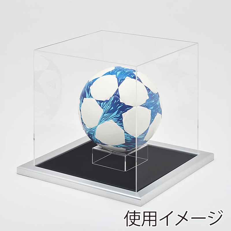 アルナ ボールケース　Mサイズ　CF 通常アクリル シルバーフレーム／黒別珍 1個（ご注文単位1個）【直送品】