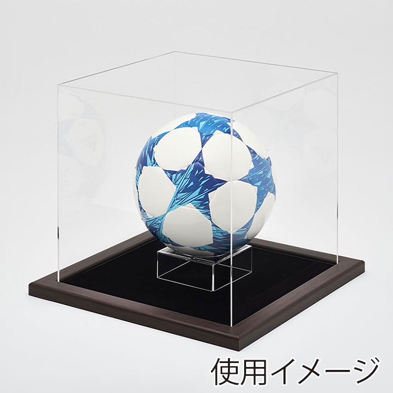 アルナ ボールケース　Mサイズ　CF 通常アクリル オークフレーム／黒別珍 1個（ご注文単位1個）【直送品】