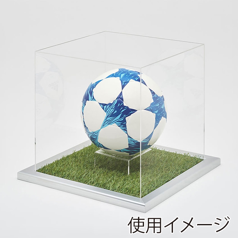 アルナ ボールケース　Mサイズ　CF 通常アクリル シルバーフレーム／人工芝 1個（ご注文単位1個）【直送品】