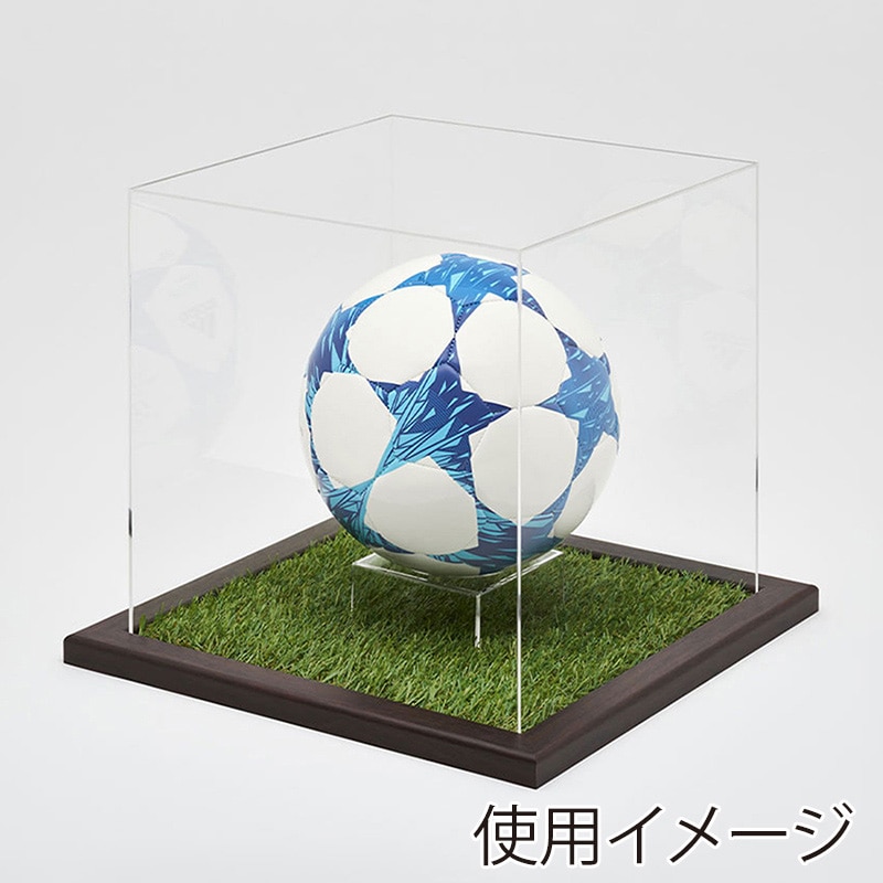 アルナ ボールケース　Mサイズ　CF 通常アクリル オークフレーム／人工芝 1個（ご注文単位1個）【直送品】