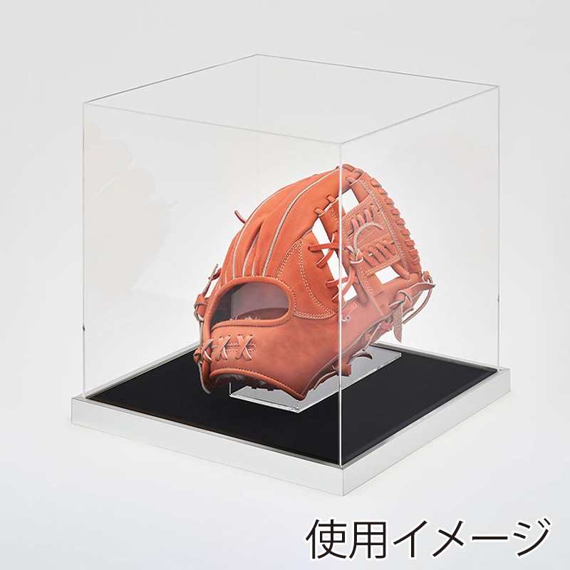 アルナ グローブケース　T25 通常アクリル シルバーフレーム／黒別珍 1個（ご注文単位1個）【直送品】