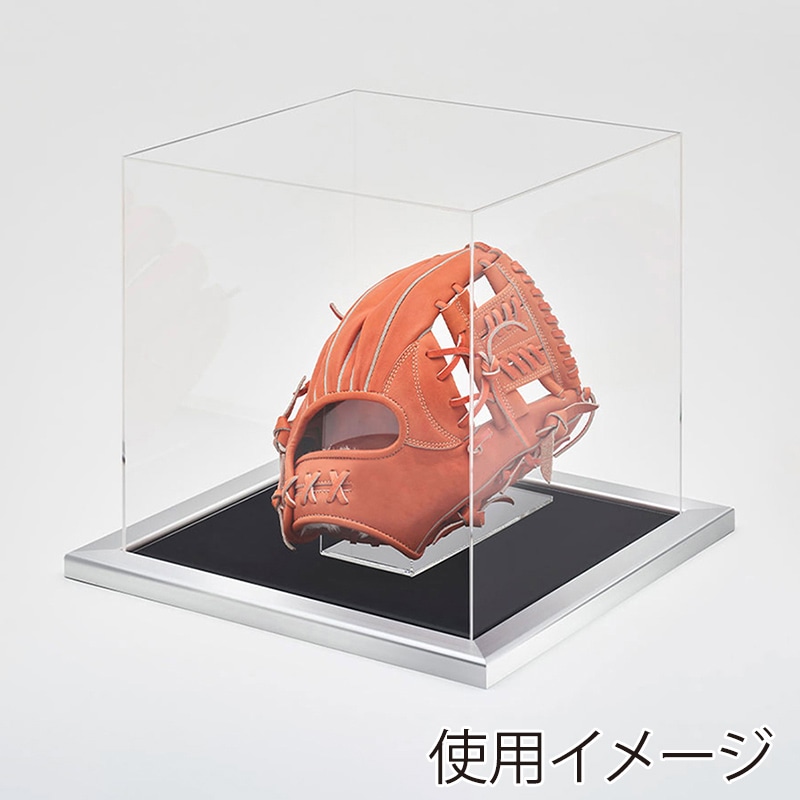 アルナ グローブケース　CF 通常アクリル シルバーフレーム／黒別珍 1個（ご注文単位1個）【直送品】