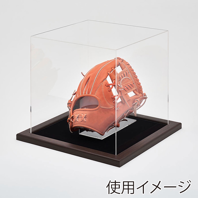 アルナ グローブケース　CF 通常アクリル オークフレーム／黒別珍 1個（ご注文単位1個）【直送品】