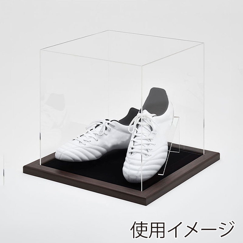 アルナ シューズケース　CF 通常アクリル オークフレーム／黒別珍 1個（ご注文単位1個）【直送品】