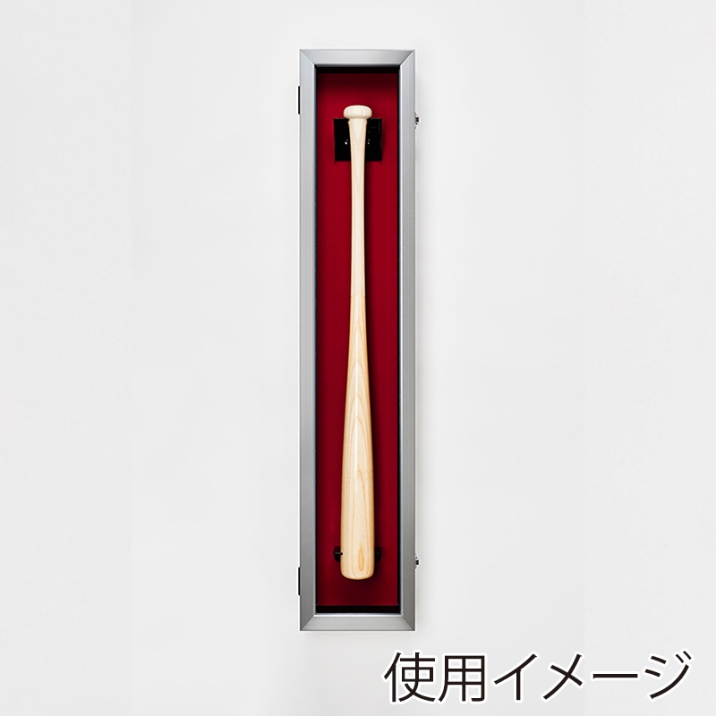 アルナ バットケース　前開き式 UVアクリル シルバーフレーム／赤別珍 1個（ご注文単位1個）【直送品】