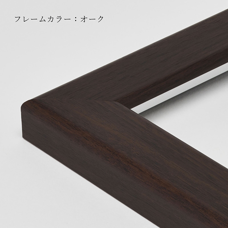 アルナ バットケース 人工芝仕様 CF 卓上専用 通常アクリル オークフレーム 1個(ご注文単位1個)【直送品】