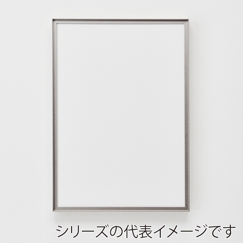 >アルナ コレクションケース・デッサン額 RIM 八切 303×243mm マットシルバーフレーム 1個(ご注文単位1個)【直送品】