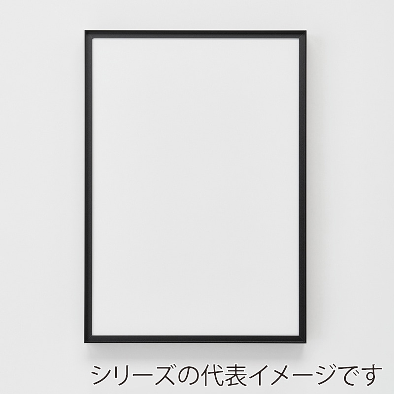 アルナ コレクションケース・デッサン額 RIM B2 728×515mm マットブラックフレーム 1個(ご注文単位1個)【直送品】