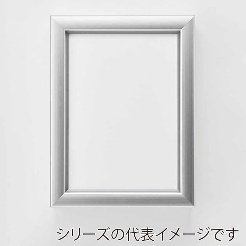 アルナ コレクションケース・仮縁　ボルドー　イリコ付 M-10　530×333mm シルバーフレーム 1個（ご注文単位1個）【直送品】