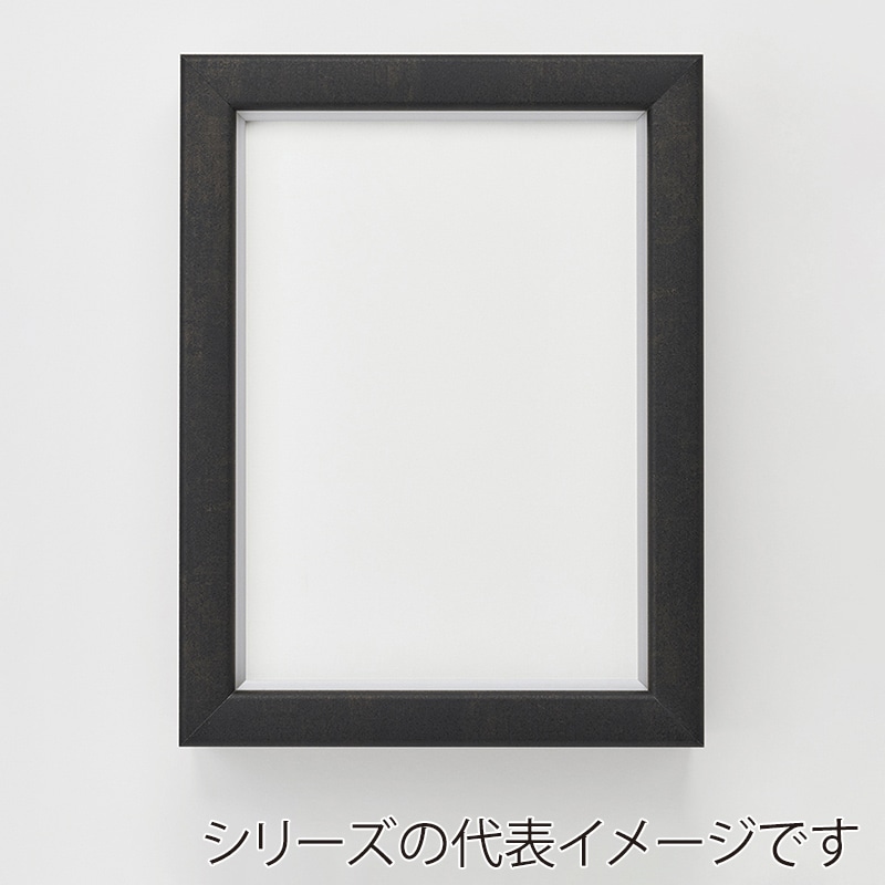 アルナ コレクションケース・仮縁　ボルドー　イリコ付 M-20　727×500mm 宗達フレーム 1個（ご注文単位1個）【直送品】