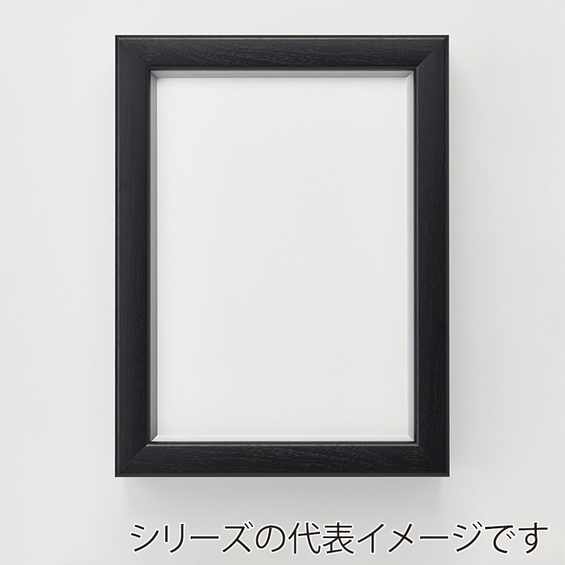 アルナ コレクションケース・仮縁　ボルドー　イリコ付 M-10　530×333mm ビターフレーム 1個（ご注文単位1個）【直送品】