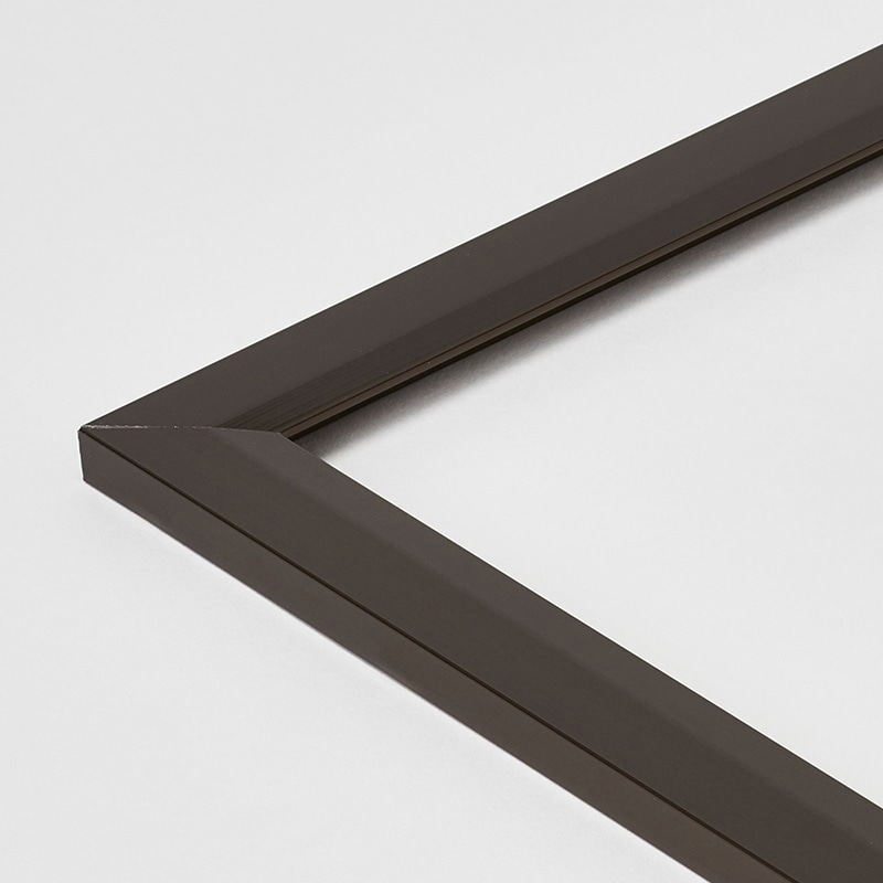 アルナ ポスターパネル Jパネル ポスターB 702×502mm ブロンズフレーム 1個(ご注文単位1個)【直送品】