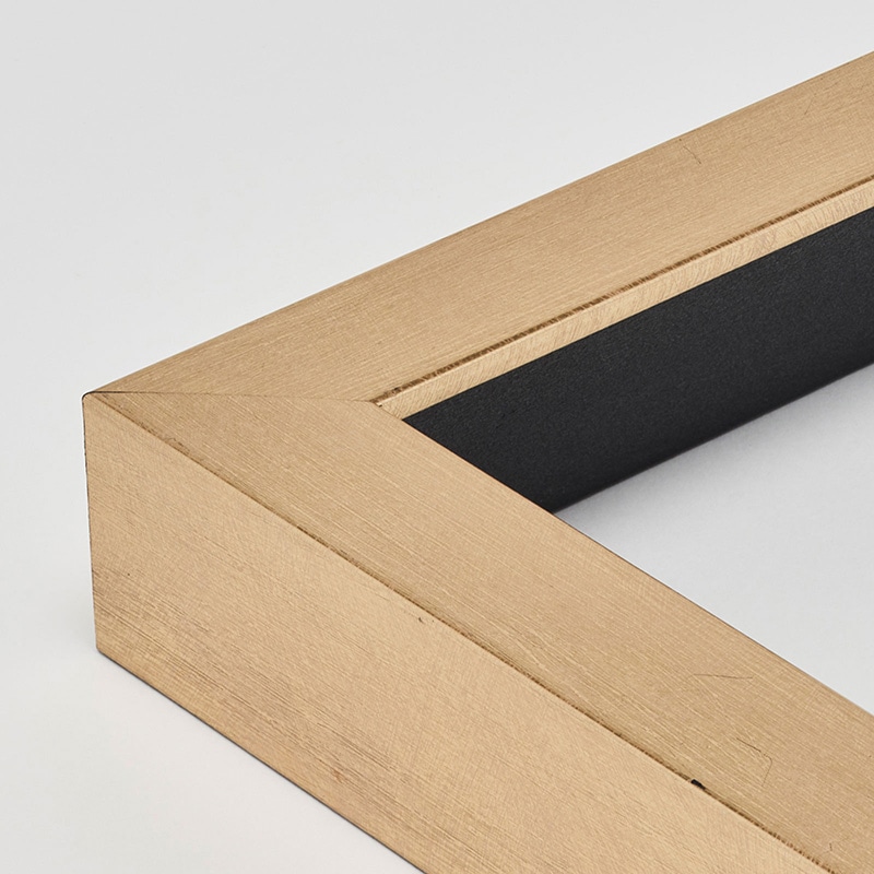 アルナ 油額 ダブルフレーム F-12 606×500mm ゴールドフレーム 1個(ご注文単位1個)【直送品】