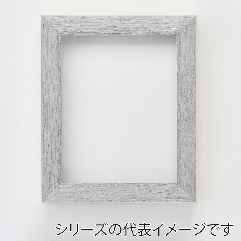 アルナ 油額　ダブルフレーム SM　227×158mm 白銀色フレーム 1個（ご注文単位1個）【直送品】