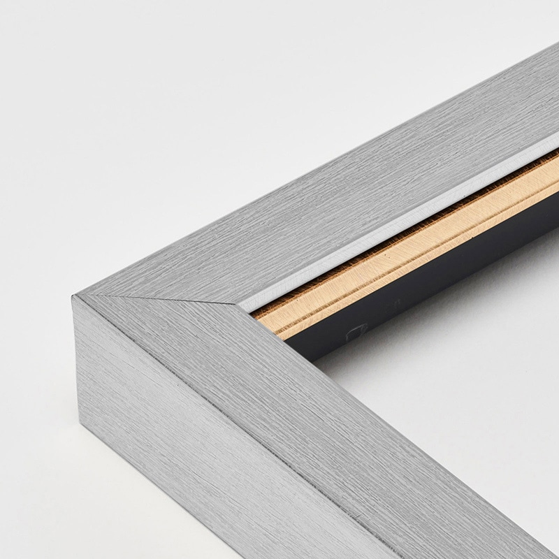 アルナ 油額 ダブルフレーム 面金付き F-3 273×220mm 白銀色フレーム 1個(ご注文単位1個)【直送品】