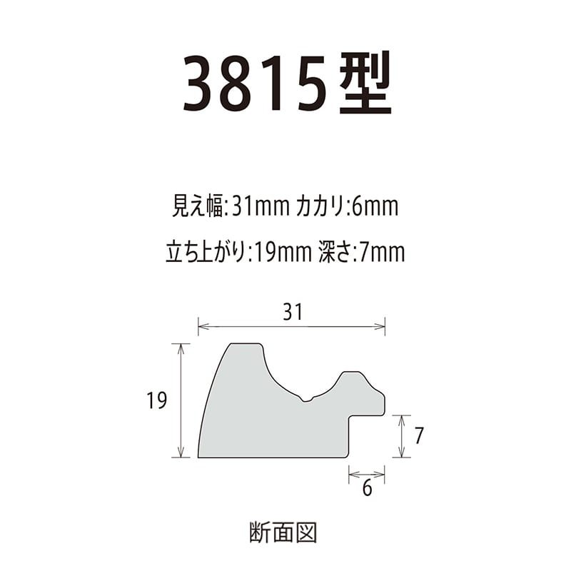 アルナ デッサン額・ポスターパネル　APS-08 写真　キャビネ・ハガキ判・サービス判 ブルーフレームグレー 1個（ご注文単位1個）【直送品】