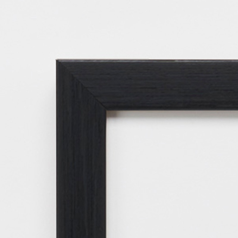 アルナ デッサン額・ポスターパネル APS-08 B-5 257×182mm ブラックフレーム 1個(ご注文単位1個)【直送品】