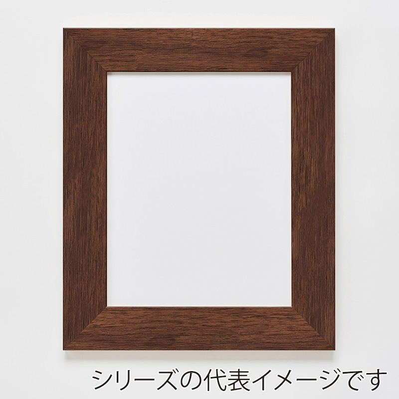 アルナ デッサン額　APS-07 B-3　515×364mm ダークブラウンフレーム 1個（ご注文単位1個）【直送品】