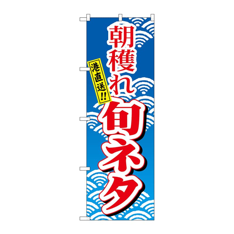 P・O・Pプロダクツ のぼり  H-473　朝穫れ旬ネタ 1枚（ご注文単位1枚）【直送品】