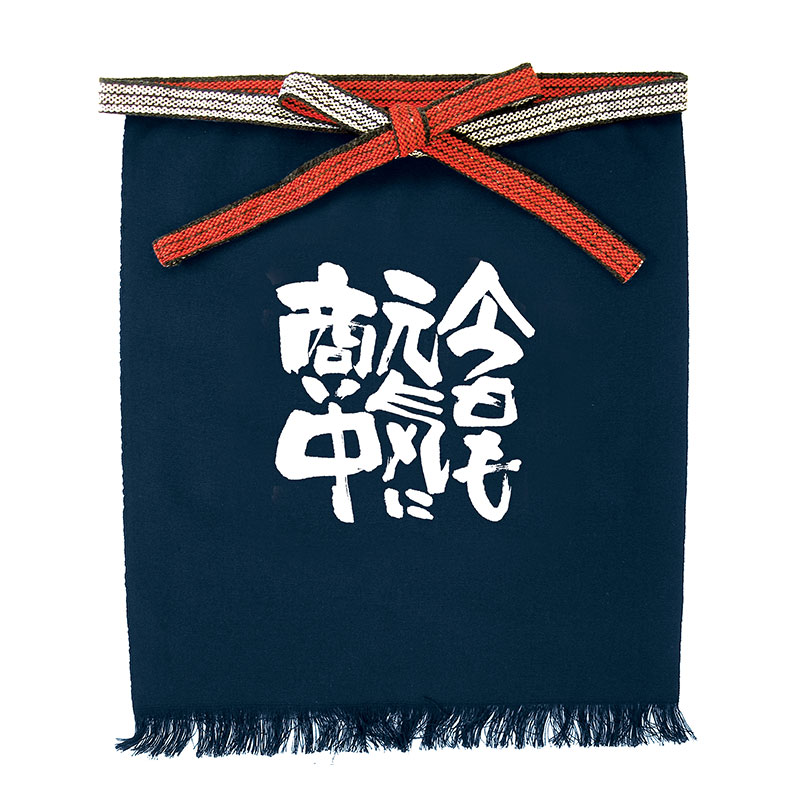 P・O・Pプロダクツ メッセージ帆前掛け 短タイプ 1043　今日も元気に 1枚（ご注文単位1枚）【直送品】