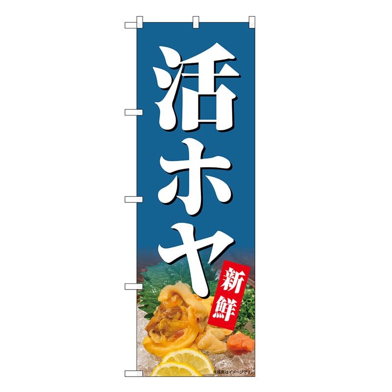 P・O・Pプロダクツ のぼり 活ホヤ 新鮮 SNB-7162 1枚（ご注文単位1枚）【直送品】