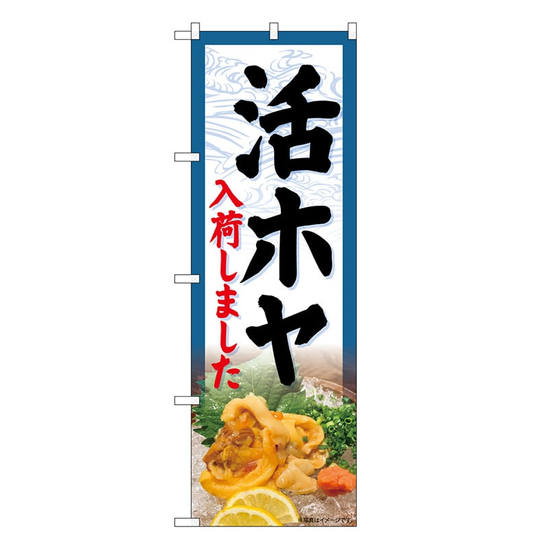 P・O・Pプロダクツ のぼり 活ホヤ入荷しました SNB-7164 1枚（ご注文単位1枚）【直送品】