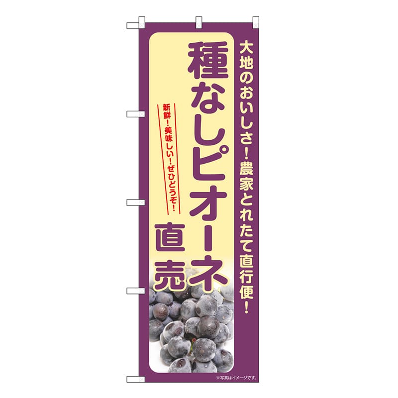 P・O・Pプロダクツ のぼり 種なしピオーネ直売 SNB-7184 1枚（ご注文単位1枚）【直送品】