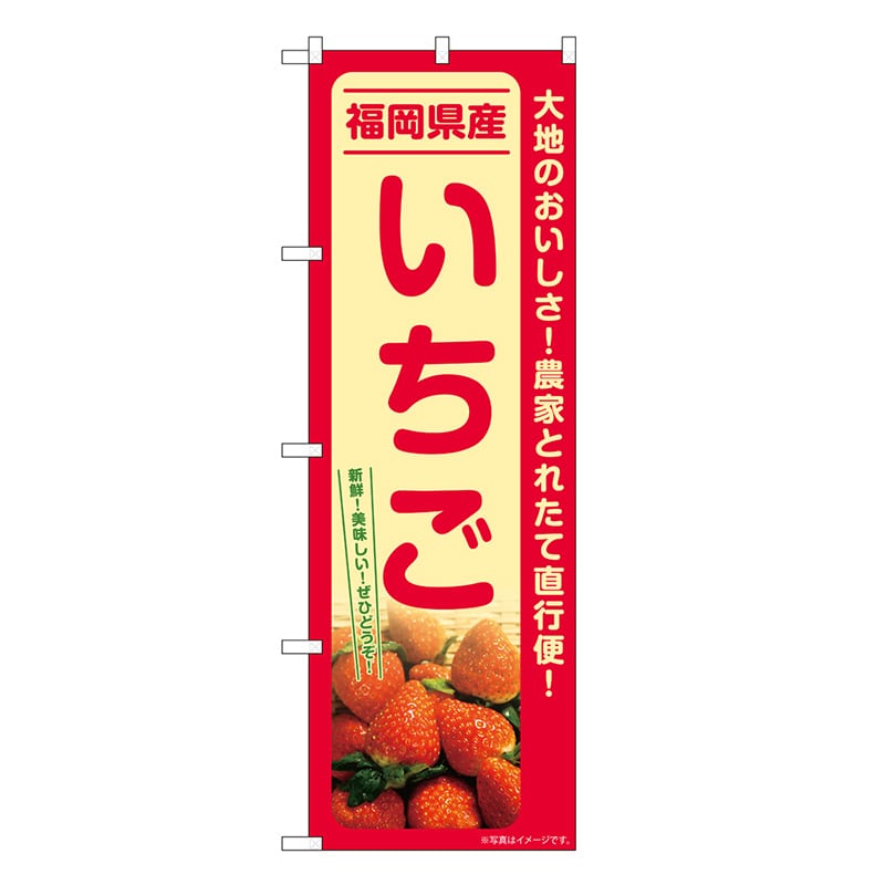 P・O・Pプロダクツ のぼり いちご 福岡県産 SNB-7211 1枚（ご注文単位1枚）【直送品】