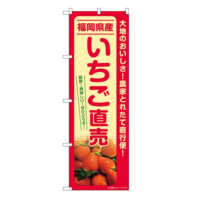 P・O・Pプロダクツ のぼり いちご直売 福岡県産 SNB-7214 1枚（ご注文単位1枚）【直送品】
