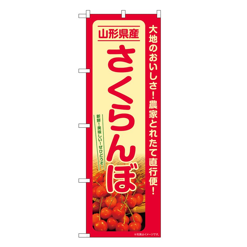 P・O・Pプロダクツ のぼり さくらんぼ 山形県産 SNB-7219 1枚(ご注文単位1枚)【直送品】