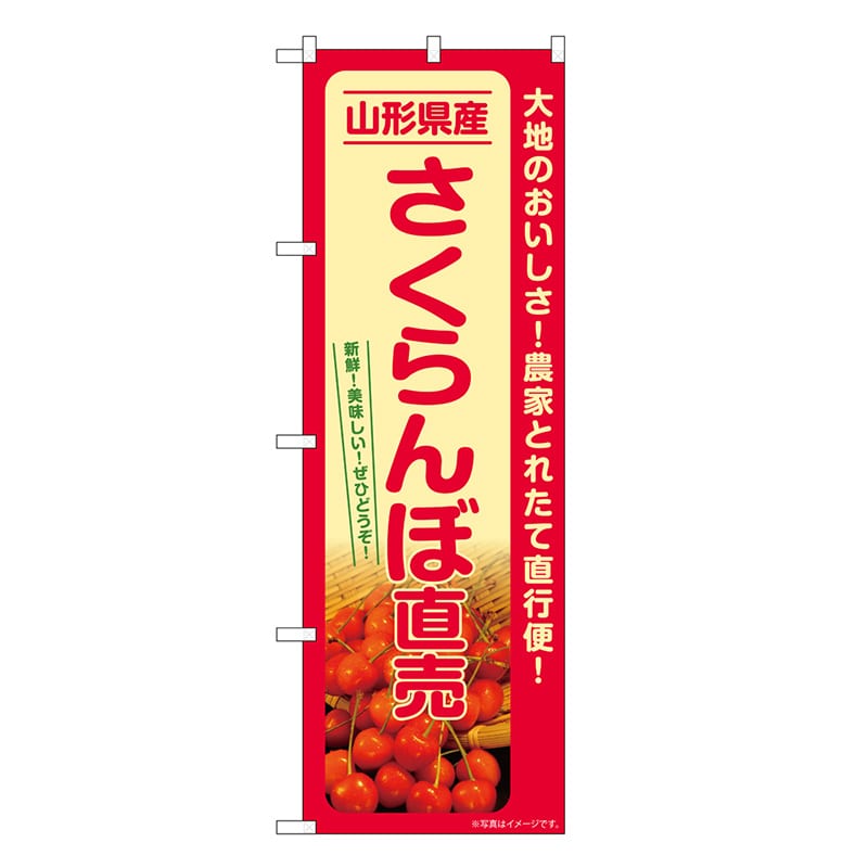P・O・Pプロダクツ のぼり さくらんぼ直売 山形県 SNB-7222 1枚（ご注文単位1枚）【直送品】