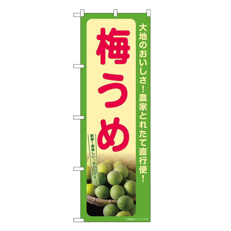 P・O・Pプロダクツ のぼり 梅 うめ SNB-7254 1枚（ご注文単位1枚）【直送品】
