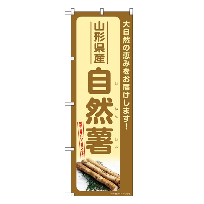 P・O・Pプロダクツ のぼり 自然薯 山形県産 SNB-7281 1枚（ご注文単位1枚）【直送品】