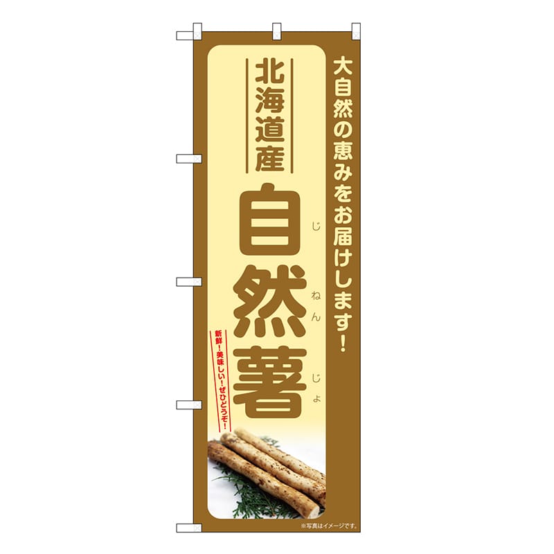 P・O・Pプロダクツ のぼり 自然薯 北海道産 SNB-7284 1枚（ご注文単位1枚）【直送品】