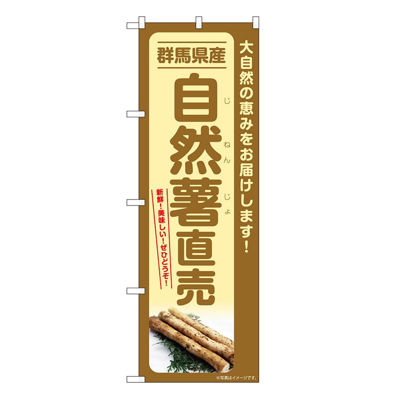 P・O・Pプロダクツ のぼり 自然薯直売 群馬県産 SNB-7296 1枚（ご注文単位1枚）【直送品】