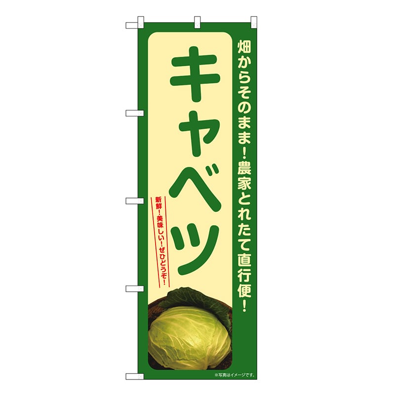 P・O・Pプロダクツ のぼり キャベツ SNBー7303 1枚（ご注文単位1枚）【直送品】