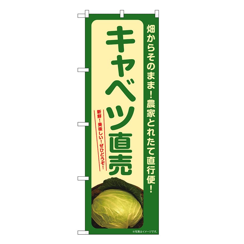 P・O・Pプロダクツ のぼり キャベツ直売 SNB-7304 1枚（ご注文単位1枚）【直送品】